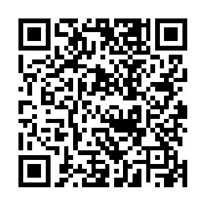 夸父族和后羿族……盘古文明联盟的十三个种族全部到齐二维码生成