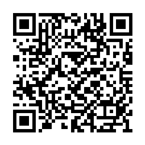 夹在一群同学中间就象羊群里出了个老白驴一样二维码生成