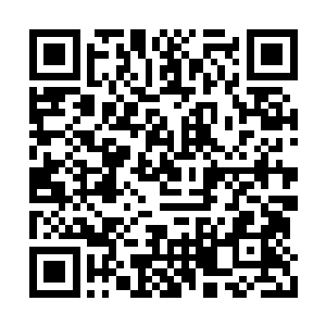 夹在中间的那个花蓓蕾随着乔远帆的话缓缓开花二维码生成