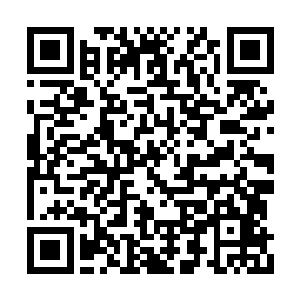 夹带着夏云杰的血脉气息渐渐融到了三千界中去二维码生成