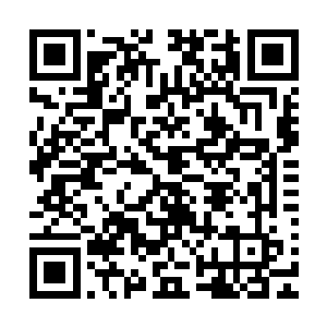 夹杂在其中的还有来自各个古老家族内最顶尖的困阵以及杀阵二维码生成