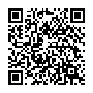 夹河市的整个公安系统都以为赵长枪会在夹河市为所欲为二维码生成