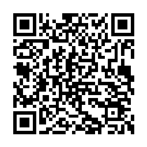 奂冥带着赵纯良小心翼翼的走到了一片灌木丛旁二维码生成