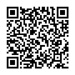 奇书天地可不能帮我建立一个圣元大陆独有的兵书理论体系二维码生成