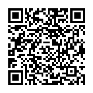 奇人异士对于龙腾派二十四小时无间隔的攻击计划二维码生成