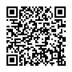 奇怪……这种如芒刺在背的感觉是怎么回事……二维码生成