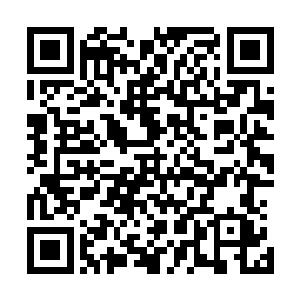 奇怪的是叶青反不关心它们的力量――可能因知道必定很强二维码生成