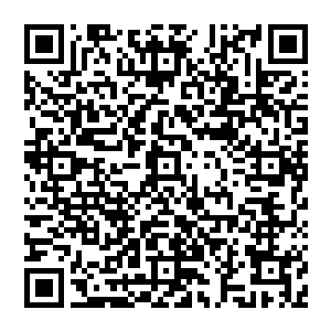 奈何他是僵尸 完全的站在茅山的对立之面 所谓道不同不相为谋 越是欣赏的敌人 则欲要处之而后快二维码生成