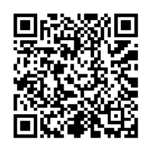 奈何旁边那两个实在是太吵了一向乖巧的小公主怎么也哄不小来二维码生成