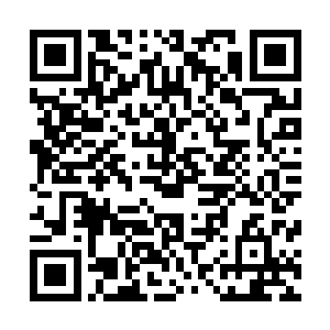 奈山此举也是为了在果邦营造各行各业仍然欣欣向荣的场景二维码生成
