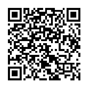 奉临便情不自禁的将这件事情和奉擎联系到了一起二维码生成