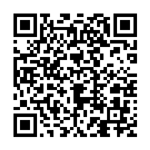 奋进精英经纪公司内部的动态几乎吸引了大半个好莱坞的目光二维码生成