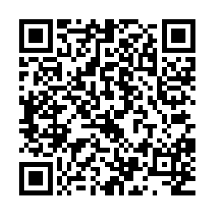 奋进精英经纪公司得益于电视剧领域的如火如荼跻身霸主行列二维码生成