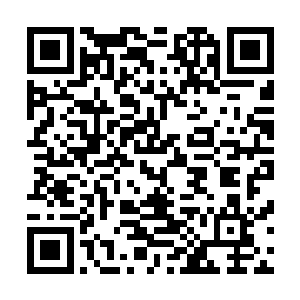 奔跑中眼看就要撞上山岩的一刹那自己的大脑是一片空白的二维码生成