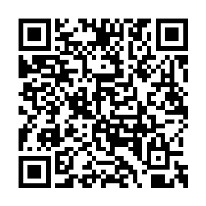 奔跑了过来顺便往一边的装甲车里抛了一颗手雷二维码生成