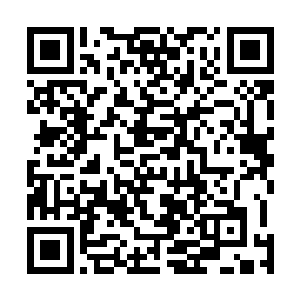 奖他们改进成和自己花花世界的小仙子们一样的生活模式二维码生成