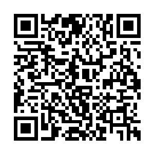 奥利多娜所化的生命古神树扎根在精灵族禁地中二维码生成