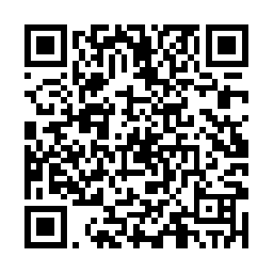 奥利弗惊喜地发现加州小姐就坐在那边为选手们签名二维码生成