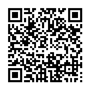 奥利王国只是与兽人帝国接壤的一小部分地方罢了二维码生成