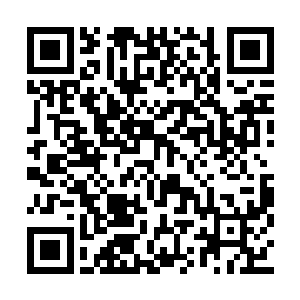 奥利维亚也知道萌萌可爱的飞船外壳实在太招眼二维码生成