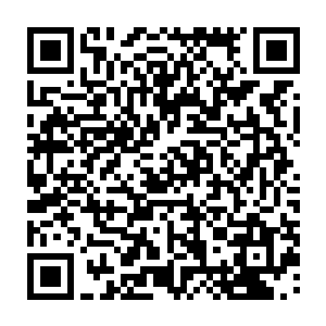 奥利维亚刚刚在叙述的时候可以简略描述了小鸡吃完叶子到处大便的场景二维码生成