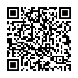 奥利维亚在成长过程中甚至没有得到过任何成年堪塔斯的爱护二维码生成