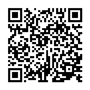 奥利维亚在检查室的镜面仪器上看到了自己现在的造型二维码生成