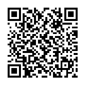 奥利维亚在离开星门的时候一共发出了两枚信号蛋二维码生成