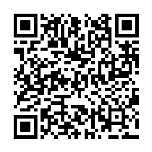 奥利维亚将穆根放到了自己这些天一直睡着的榻上二维码生成