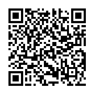奥利维亚就把这个晚上和穆根的最后一段对话讲了出来二维码生成