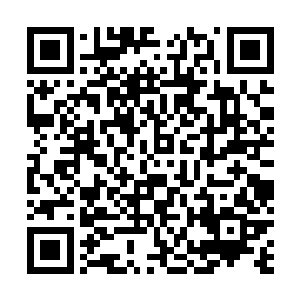 奥利维亚当天就和穆根一起上网查询关于青春期的知识了二维码生成