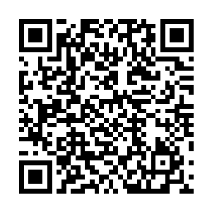 奥利维亚甚至把家里的弯月帝龙们还有白叽叽们都带上了二维码生成