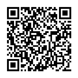 奥利维亚甚至还在自家的包子店卖了一下午包子二维码生成