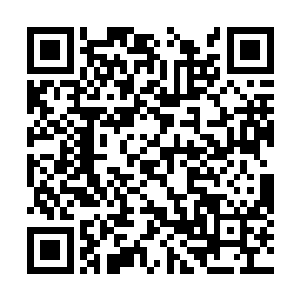 奥利维亚随便从卧室里捡了一件穆根的t恤穿上了二维码生成