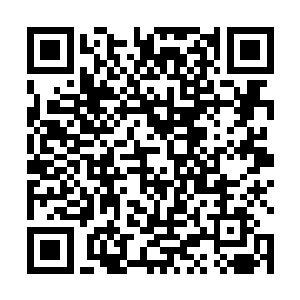 奥劳拉说你今天是不是想要去见识一下荒原巨狼的兽潮二维码生成