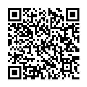 奥因克看着被自己捏碎在手中的蝙蝠迅化为了白光二维码生成