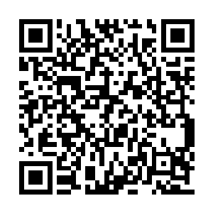 奥斯卡的右手上也顿时爆发出了璀璨刺眼的金光二维码生成