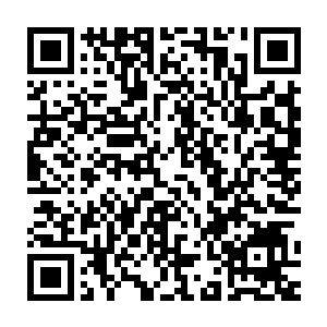 奥菲莉娅和凯丽两人站在卧室的门口呆呆地看着沙发上坐着的苏凡二维码生成