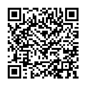 奥赛罗也终于可以逐渐的看清楚了对方的全貌了二维码生成