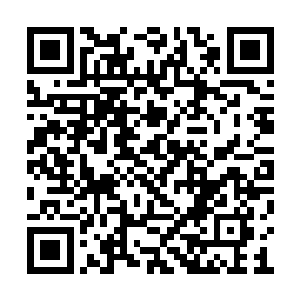 奥鲁米联邦军的军官们将组织优势发挥到了极处二维码生成