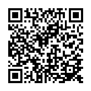 女主天真呆萌傻里傻气一无所有貌不惊人如我一般……二维码生成