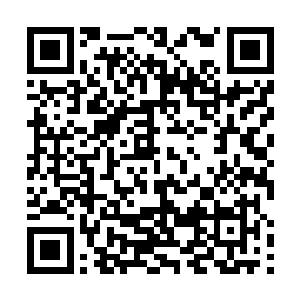 女主角这个时候应该已经发现了男主角的与众不同之处二维码生成