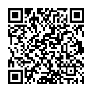 女人们惊魂未定的看着里面不停的在地上挣扎的野鸡二维码生成