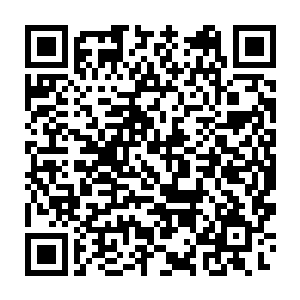 女人们迅速的把鱼归置好以后就跳出最大最肥的准备庆祝今天的收获二维码生成