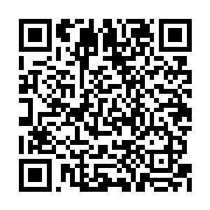 女人大力的夸赞让叶海凝都不知道该怎么回话了二维码生成