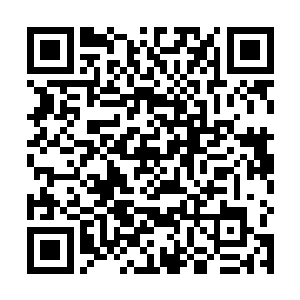 女人牵着的孩子或许感受到了哥哥姐姐们对他们的爱护二维码生成