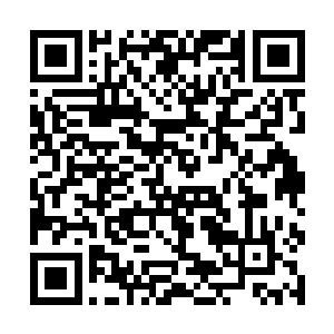 女人的翘臀也被这一巴掌拍得像果冻一样的颤抖起来二维码生成