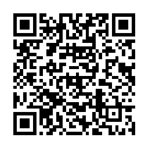 女僵尸身上唯一看起来不怎么可怕没什么攻击力的二维码生成