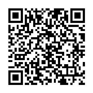 女国王先是把这些新鲜的海贝放进淡盐水里养了半个小时二维码生成