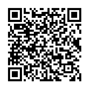 女娲只是从没有想过居然会有生物一出生就是先天道体罢了二维码生成